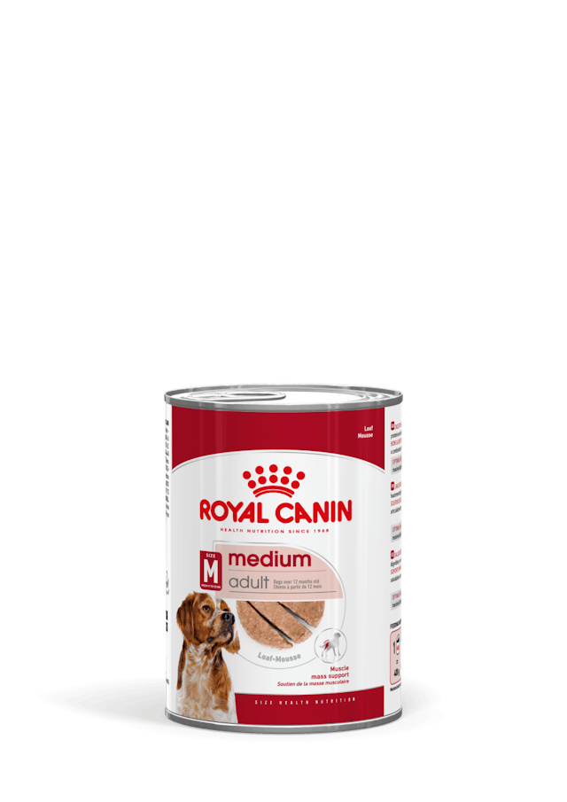 Royal Canin Medium Adult Paté 410 g – Alimento Umido per Cani Adulti Royal Canin Medium Adult Paté 410 g – Alimento Umido per Cani Adulti